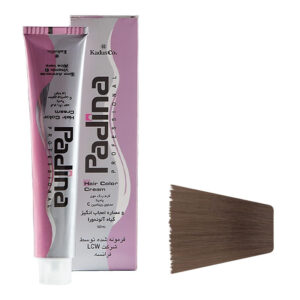 رنگ مو پادینا مدل C9 حجم 100 ml بلوند نقره ای